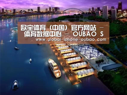 案例展示八