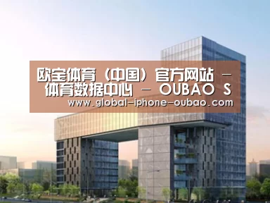 案例展示四