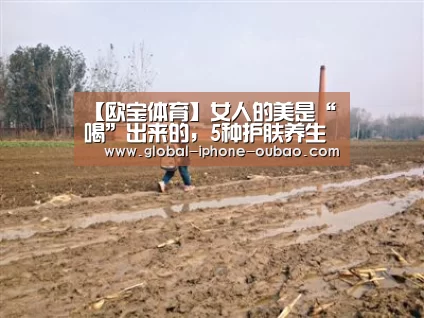 欧宝体育