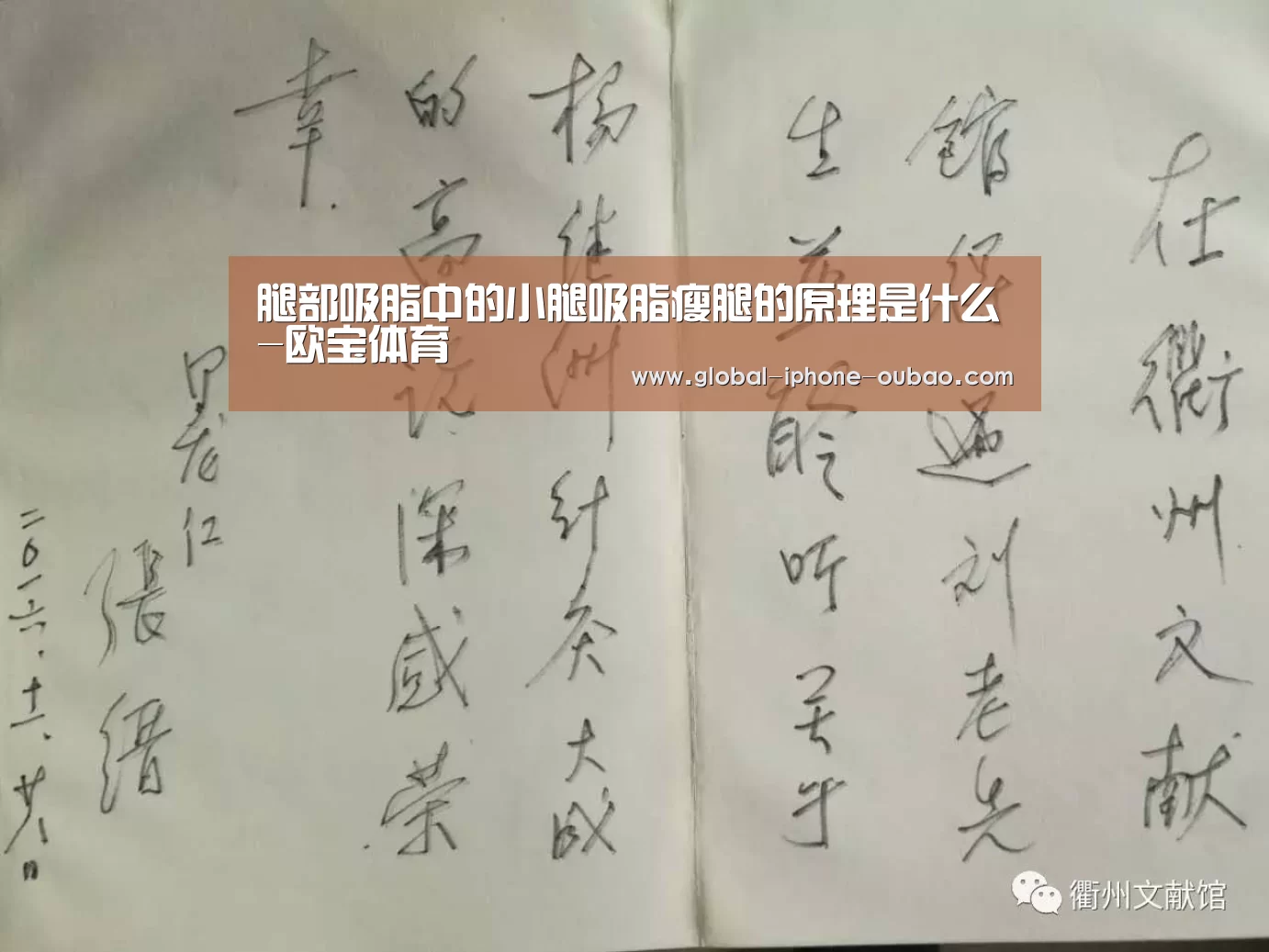 欧宝体育