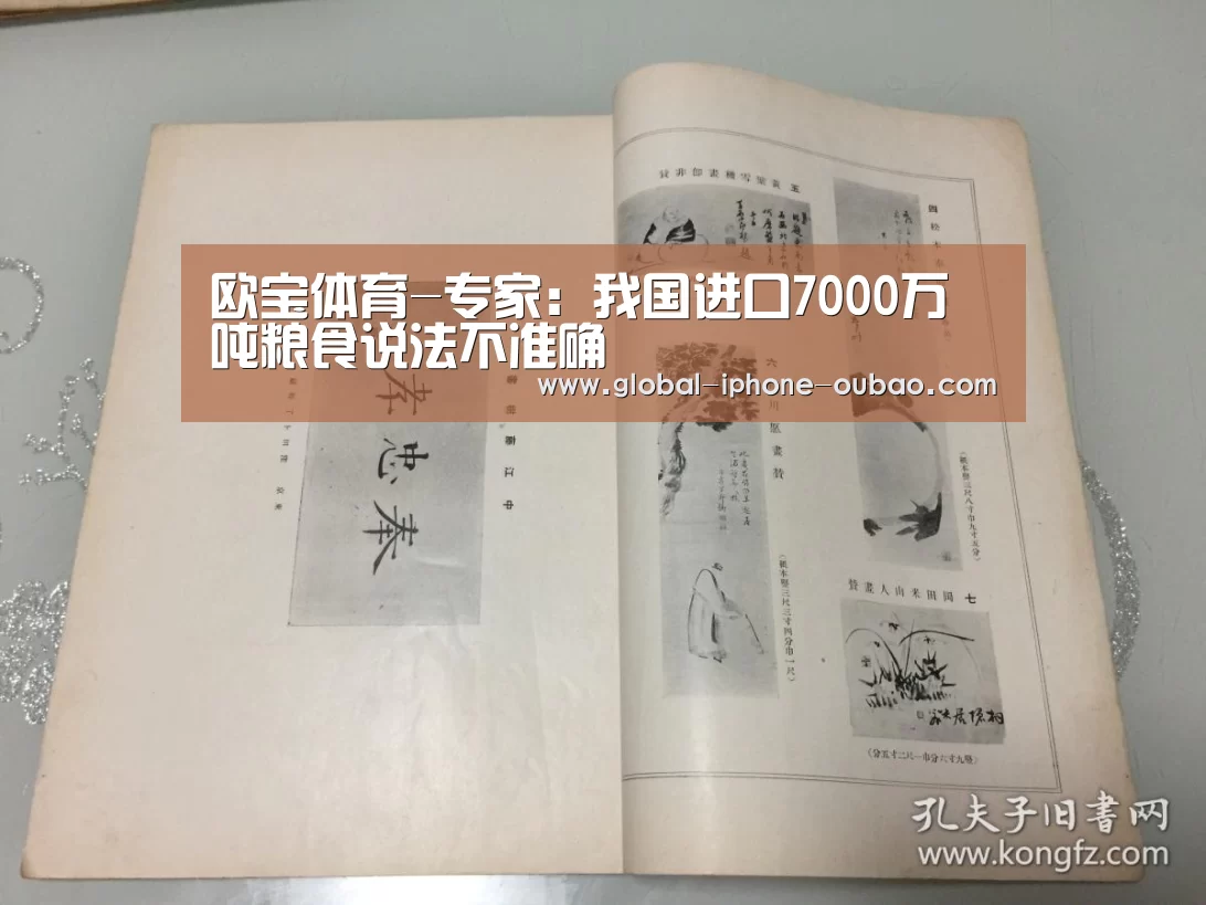 欧宝体育-专家:我国进口7000万吨粮食说法不准确(图1) 欧宝体育